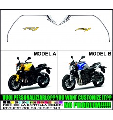 FZ1 2009 2010
